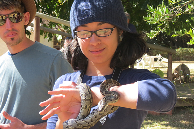 Gloria Medina '13 (CANR) handles a python at Entabeni Game Reserve in South Africa, where UConn students traveled in the summer of 2012 as part of a three-week African field ecology course taught by Associate Professor Morty Ortega. (Stefanie Dion Jones/UConn Photo)