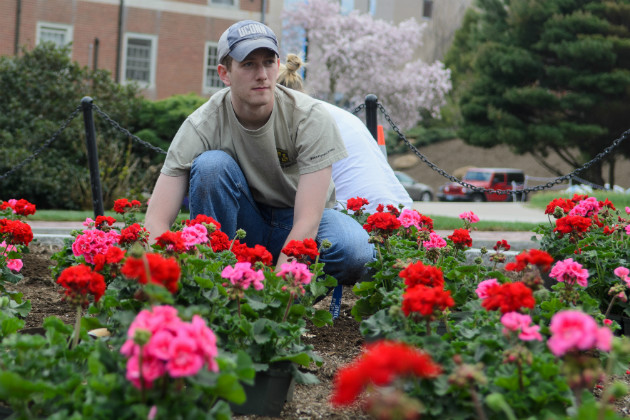 Campus bursts with color, thanks to the help of students who came out to help with planting. (Ariel Dowski '14 (CLAS)/UConn Photo)