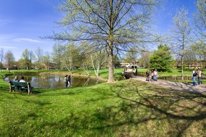 Panoramic view at West Hartford campus (Al Ferreira for UConn).