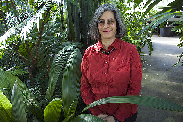 Robin Chazdon, professor of ecology and evolutionary biology, in the EEB greenhouse on campus.