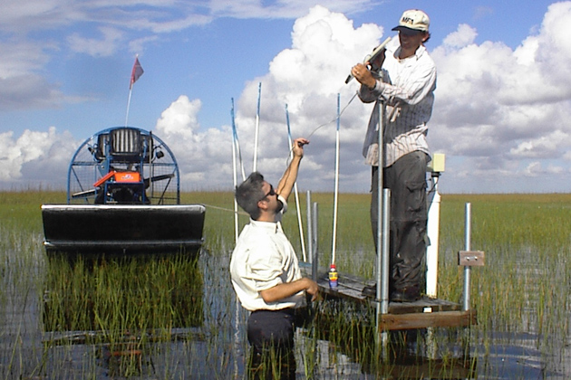 John Volin (left) working in the Everglades with former graduate student Michael Lott. (Craig van der Heiden for UConn)