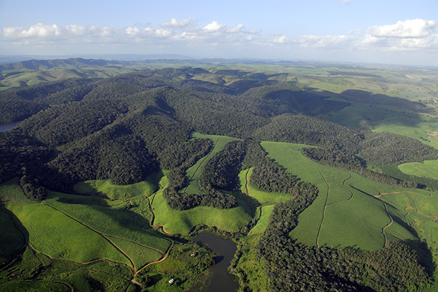 The Serra Grande forest in northeastern Brazil has large plantation clearings where sugar cane has been grown for more than 100 years. A significant portion of this landscape is now being considered to undergo forest restoration under new Brazilian forest codes. (Photo by Adriano Gambarini)