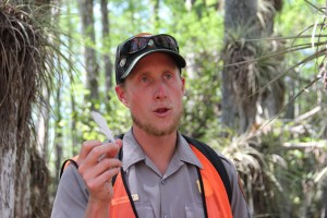 Patrick Boyce, a sea­sonal ranger at Big Cypress National Pre­serve, teaches by hik­ing into a cypress dome. (Kait­lyn Carroll/UConn Photo)