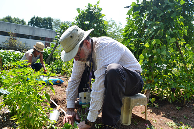 Dr. Bruce Gould, foreground, makes holes in the soil to plant seedlings, while UConn Master Gardener Sheila Dworkin plants lettuce in the community garden in the grounds of the Burgdorf Clinic. (Chris DeFrancesco/UConn Health Photo)