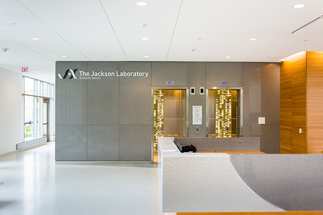 The Jackson Laboratory for Genomic Medicine at the UConn Health campus in Farmington. (©Derek Hayn/Centerbrook Architects)