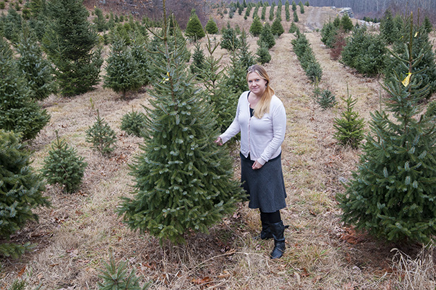 Jill Wegrzyn, ecology and evolutionary biology assistant research professor, at a Christmas tree farm. (Sean Flynn/UConn Photo)
