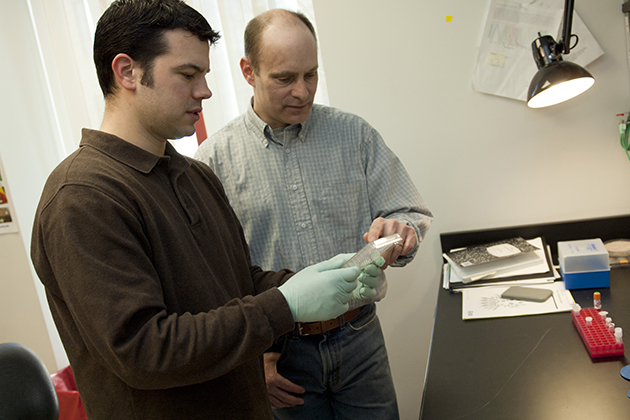 David Goldhamer, professor of molecular and cell biology, center, and doctoral student Michael Wosczyna examine a tissue sample in their lab. (Dan Buttrey/UConn File Photo)