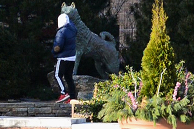 A student rubs the nose of the Husky dog stature for luck at the start of the spring 2014 semester. (Angelina Reyes/UConn Photo)