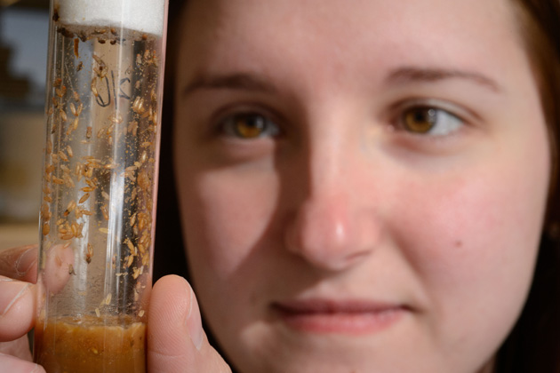 Lylah Deady holds a vial of fruit flies and pupae on Feb. 20, 2015. (Peter Morenus/UConn Photo)