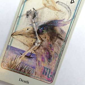 A Tarot card depicting death. (Yesenia Carrero/UConn Photo)