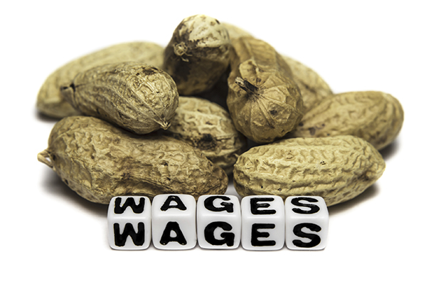 An image of peanuts next to blocks spelling out 'wages.' (iStock Photo)