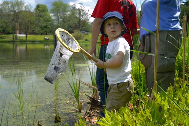 Children and adults joined scientists in observing and cataloging nature during UConn's BioBlitz, July 24-25, 2015. (Ryan Glista '16 (CLAS)/UConn Photo)