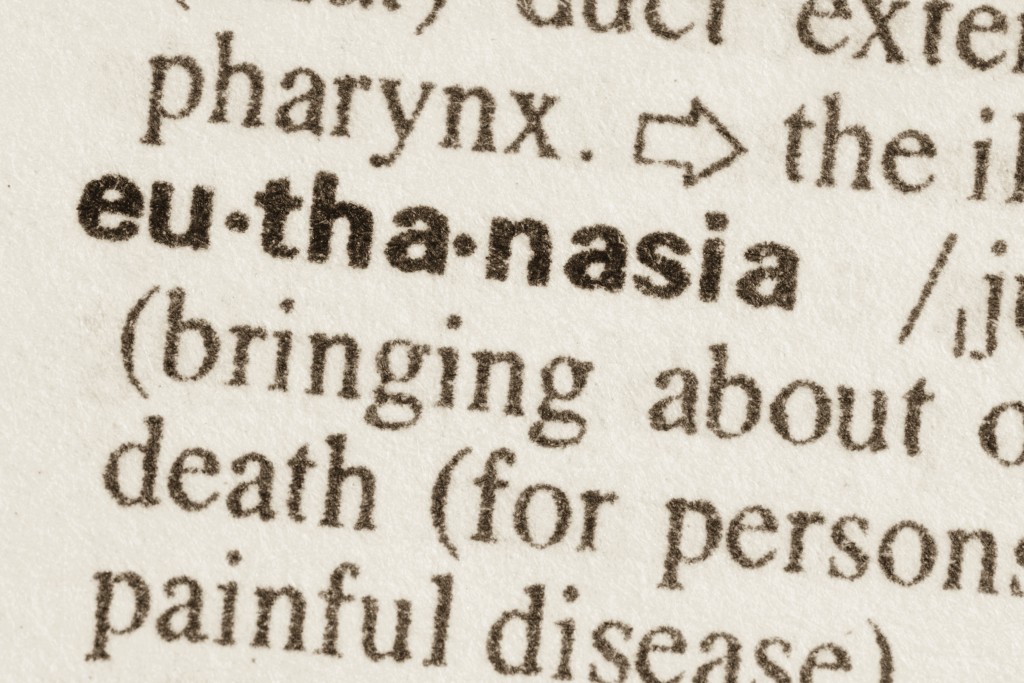 Definition of word euthanasia in dictionary. (iStock Photo)