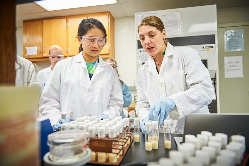 Sabrina Yum-Chan '19 (CLAS), left, and Nichole Broderick, assistant professor of molecular and cell biology, look over vials of flies in a microbiology lab at the Torrey Life Sciences Building on Nov. 10, 2015. (Peter Morenus/UConn Photo)