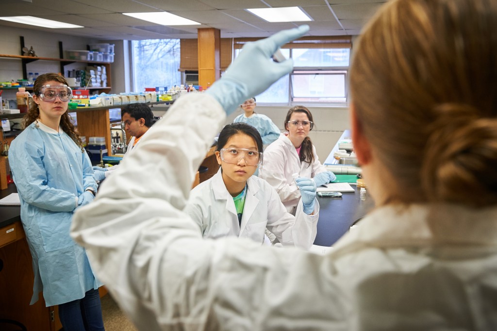 Nichole Broderick, assistant professor of molecular and cell biology gives instructions to students in a microbiology lab at the Torrey Life Sciences Building on Nov. 10, 2015. (Peter Morenus/UConn Photo)