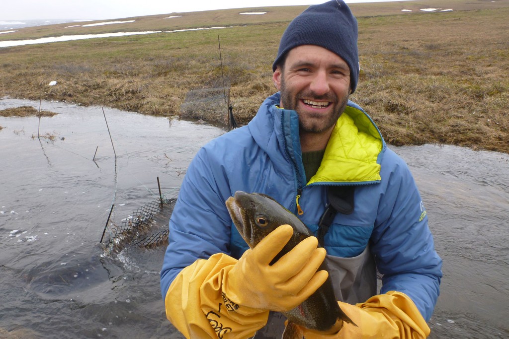 Mark Urban, researcher of ecology and evolutionary biology, holds an Arctic grayling in Alaska.