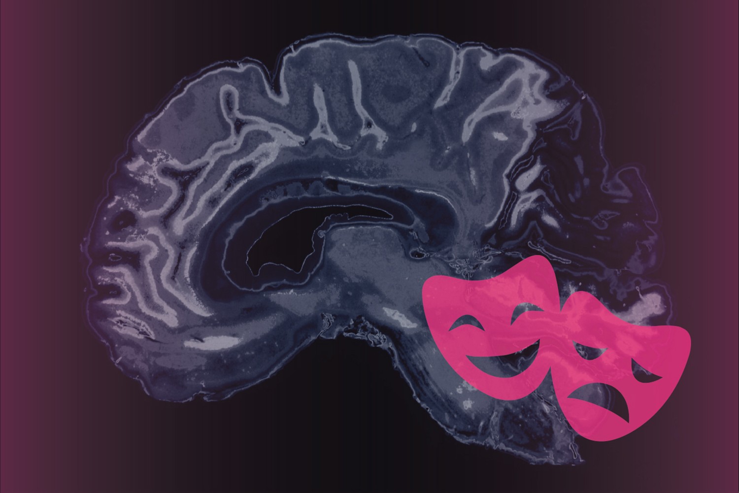 Graphic representing emotions and the brain. (Christa Tubach/UConn Image)