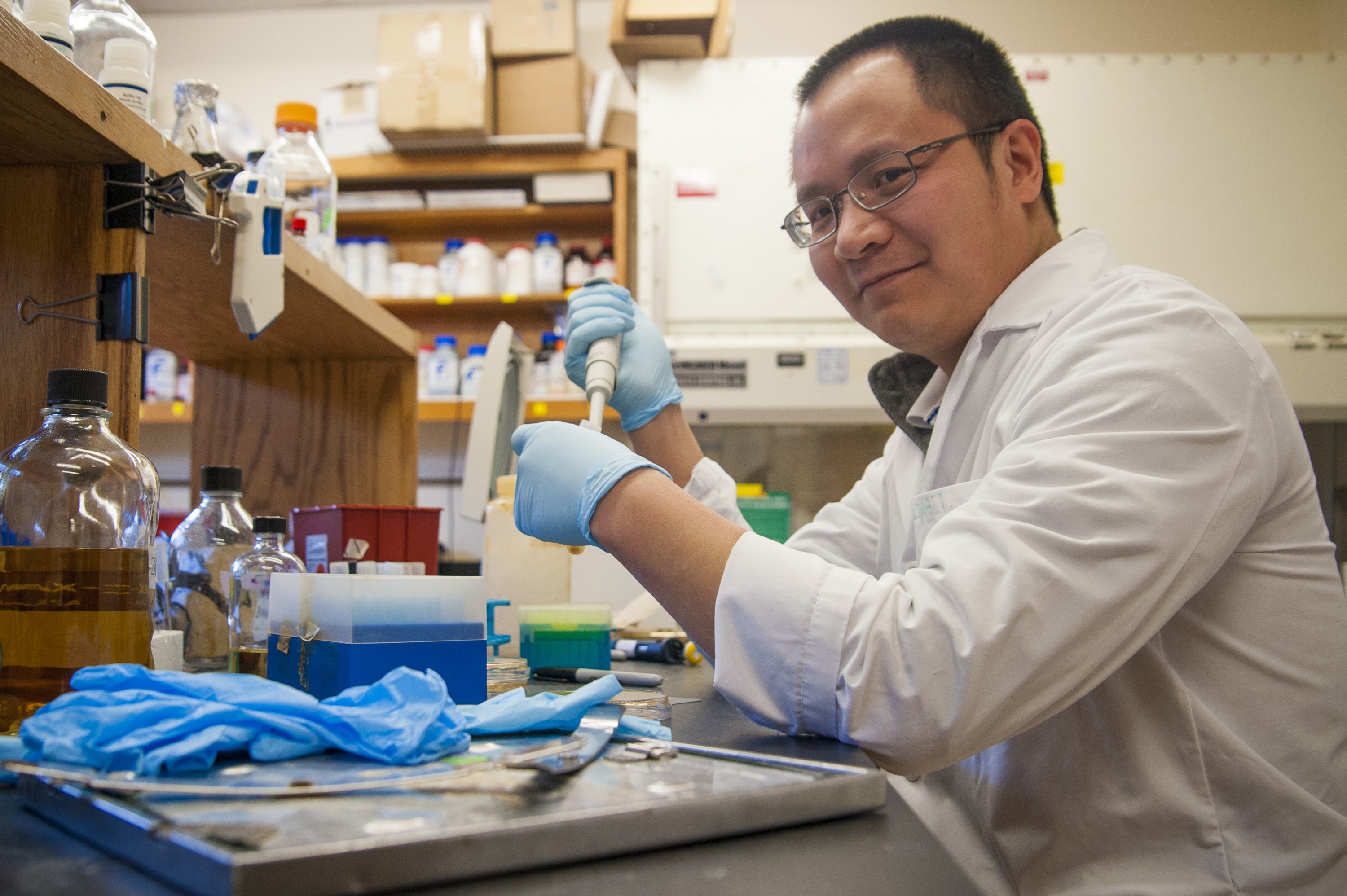 Professor Xiaohui Zhao in his lab on Jan. 29, 2016. (Sean Flynn/UConn Photo)