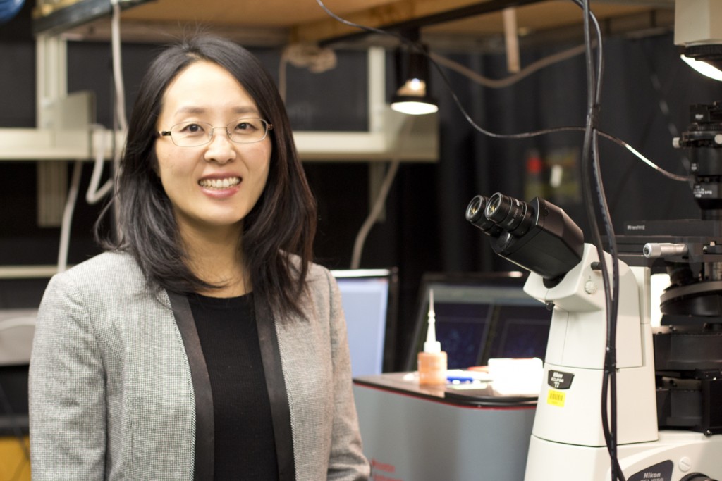 Work by assistant professor of chemistry Jing Zhao will study the creation of novel hybrid metal and semiconductor nanostructures. (Christine Buckley/UConn Photo)