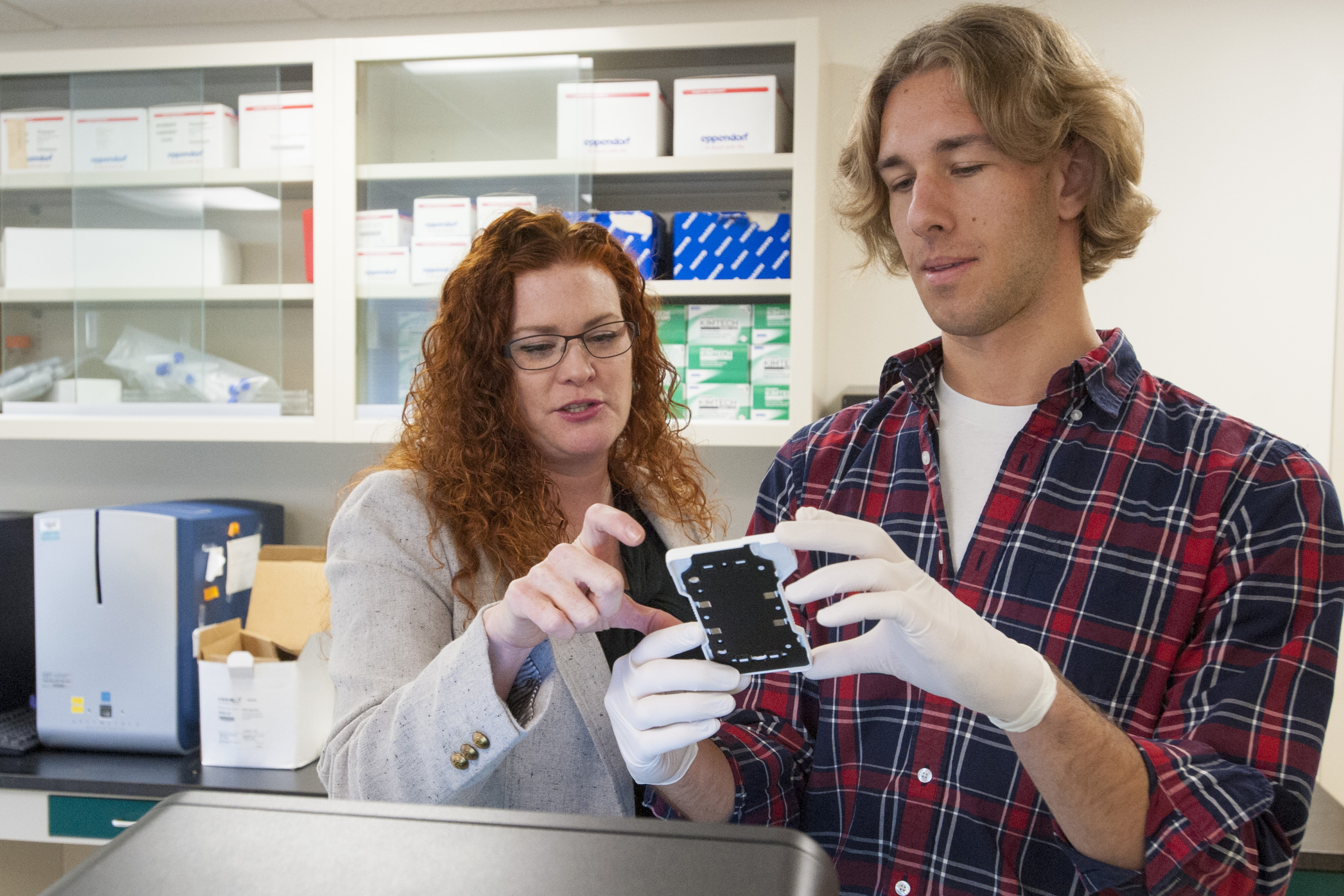 Undergraduate researcher Brendan Smalec in Professor Rachel O'Neill's lab. (Sean Flynn/UConn Photo)