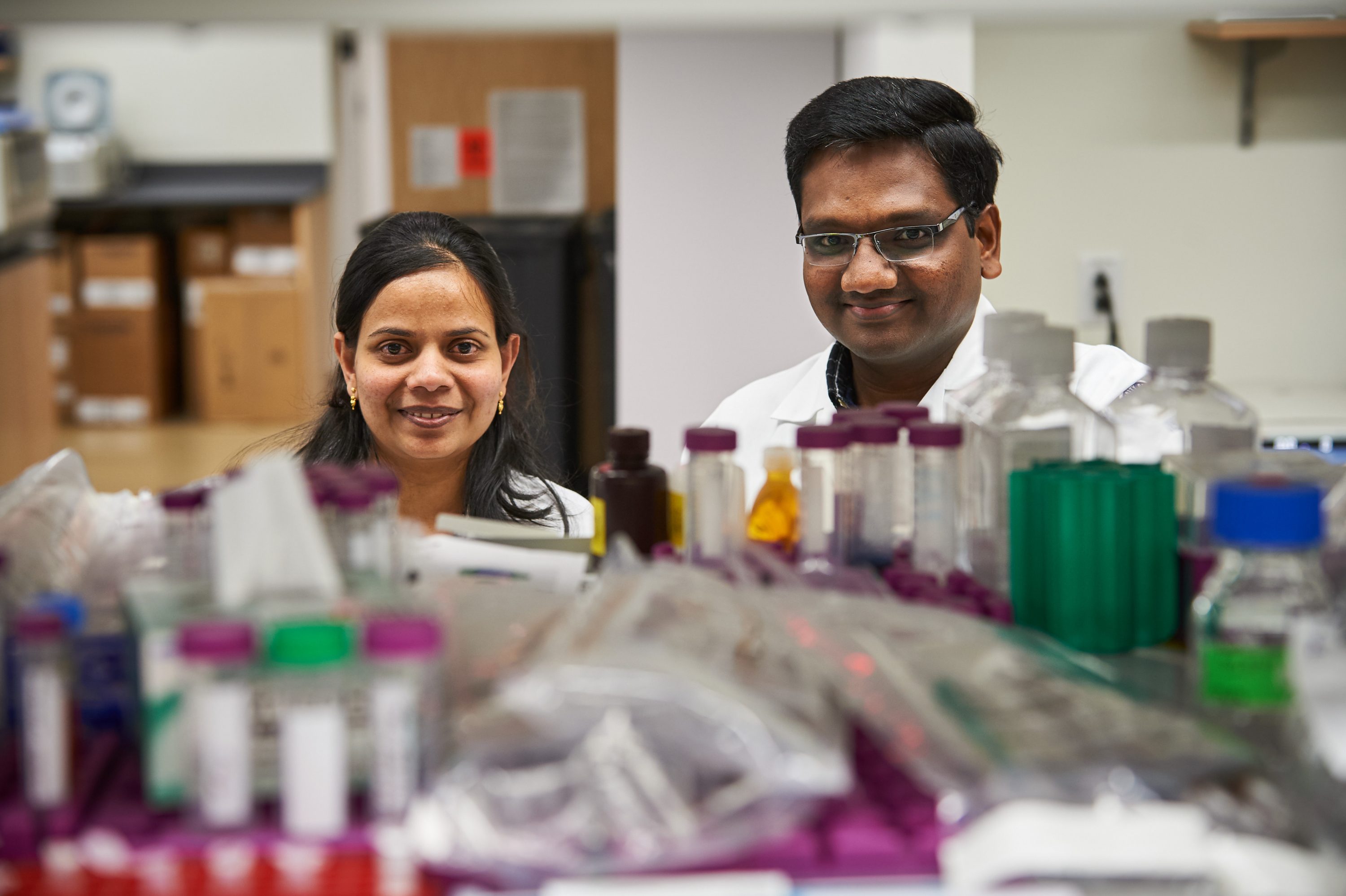 UConn Health researchers Sivapriya Kailasan Vanaja, left, and Vijay Rathinam find that sepsis – a deadly immune response – may stem from miscommunication among cells. (Peter Morenus/UConn Photo)