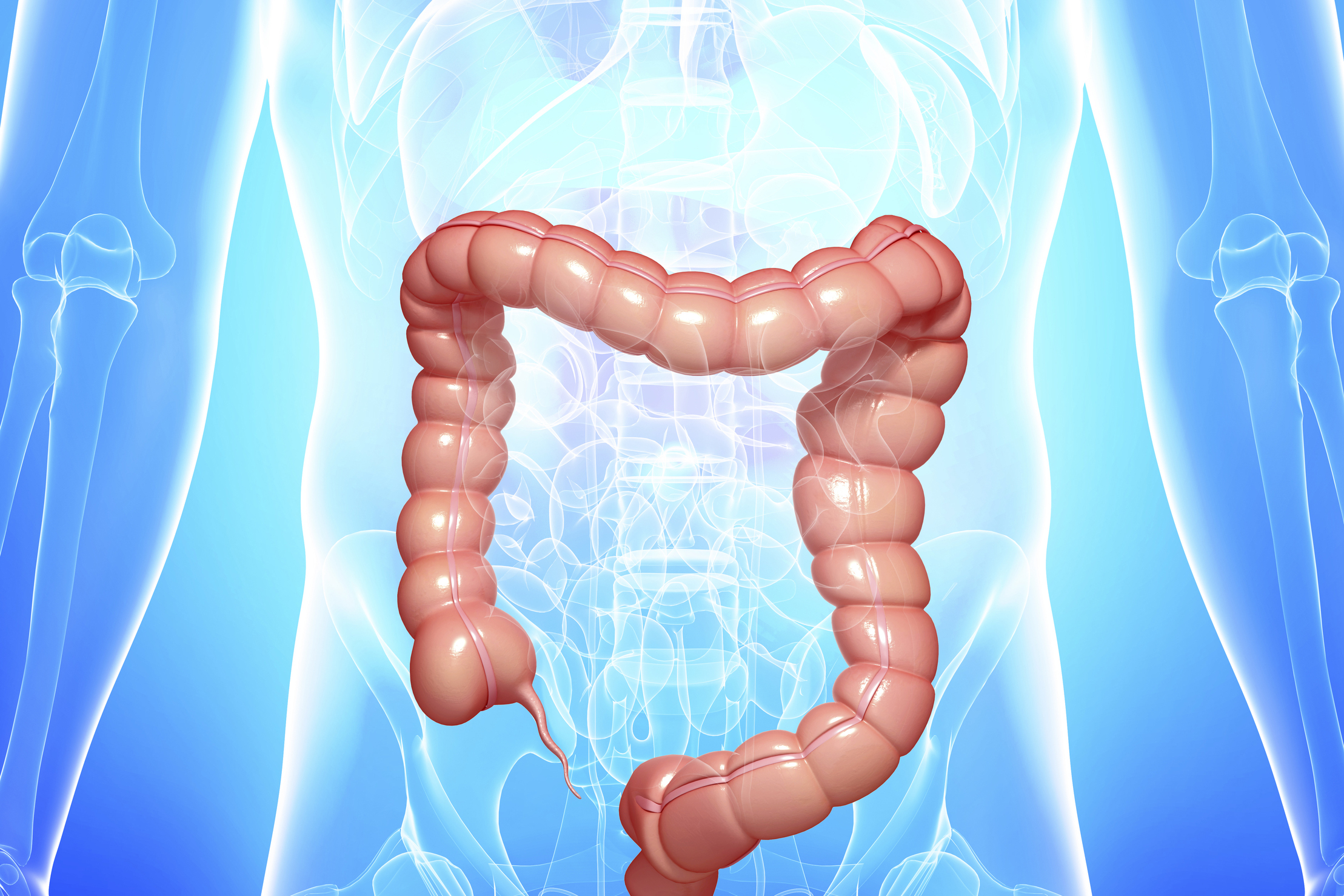 Illustration of human body with highlighted colon, or large intestine. (iStock Photo)