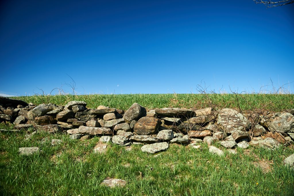 A stone wall near the peak of Horsebarn Hill on April 27, 2016. (Peter Morenus/UConn Photo)