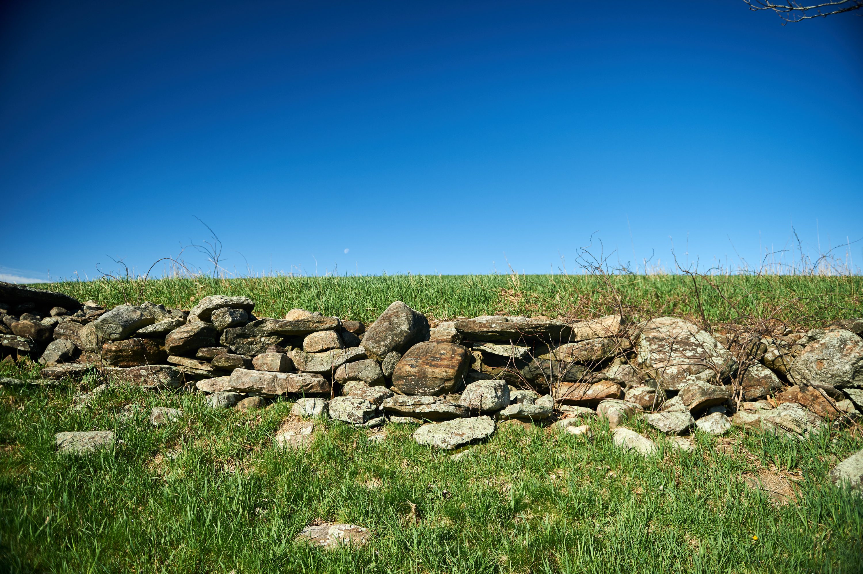A stone wall near the peak of Horsebarn Hill on April 27, 2016. (Peter Morenus/UConn Photo)