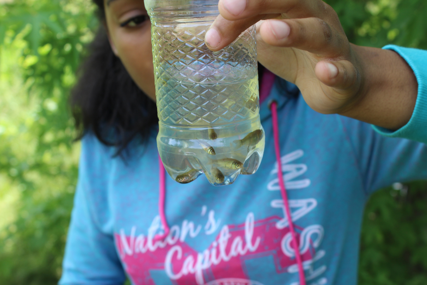 A student contributes another species to the total count. (Photo courtesy of Sydney Clements)