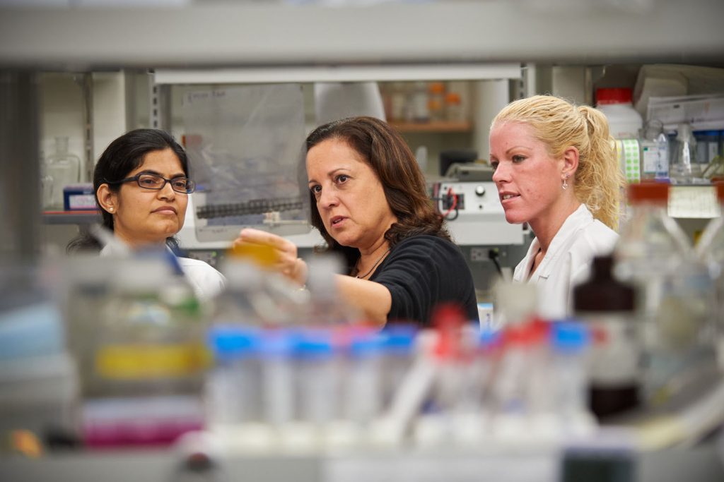 Annabelle Rodriguez-Oquendo, at her lab on Oct. 14, 2015. (Peter Morenus/UConn Photo)