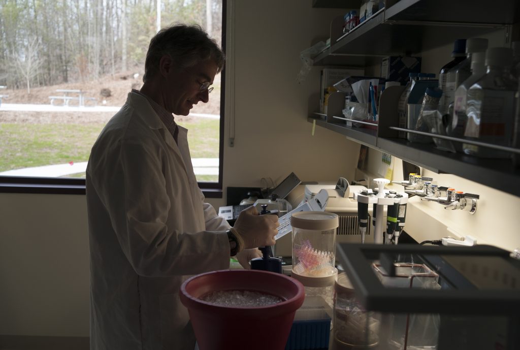 Mark Driscoll, co-founder of Shoreline Biome, at work in a lab at the UConn technology incubator in Farmington on March 31, 2016. (Peter Morenus/UConn Photo)