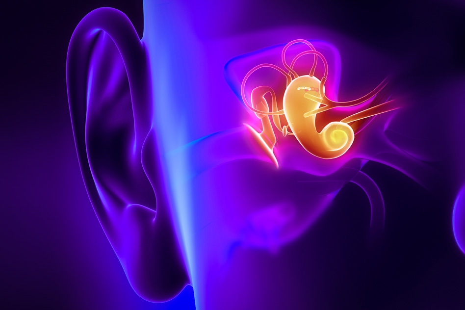Researchers at UConn Health and MIT have developed a new way of imaging the middle ear using infrared light, which they say could provide much more accurate diagnosis of ear infections. (Courtesy of Massachusetts Institute of Technology)