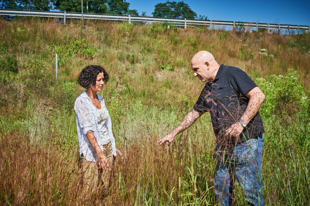 Yulia Kuzovkina-Eischen, associate professor of plant science & landscape architecture, and John Campanelli, a graduate student, inspect the growth of native species planted on DOT property along U.S. RT 6 in North Windham on Aug. 29, 2016. (Peter Morenus/UConn Photo)