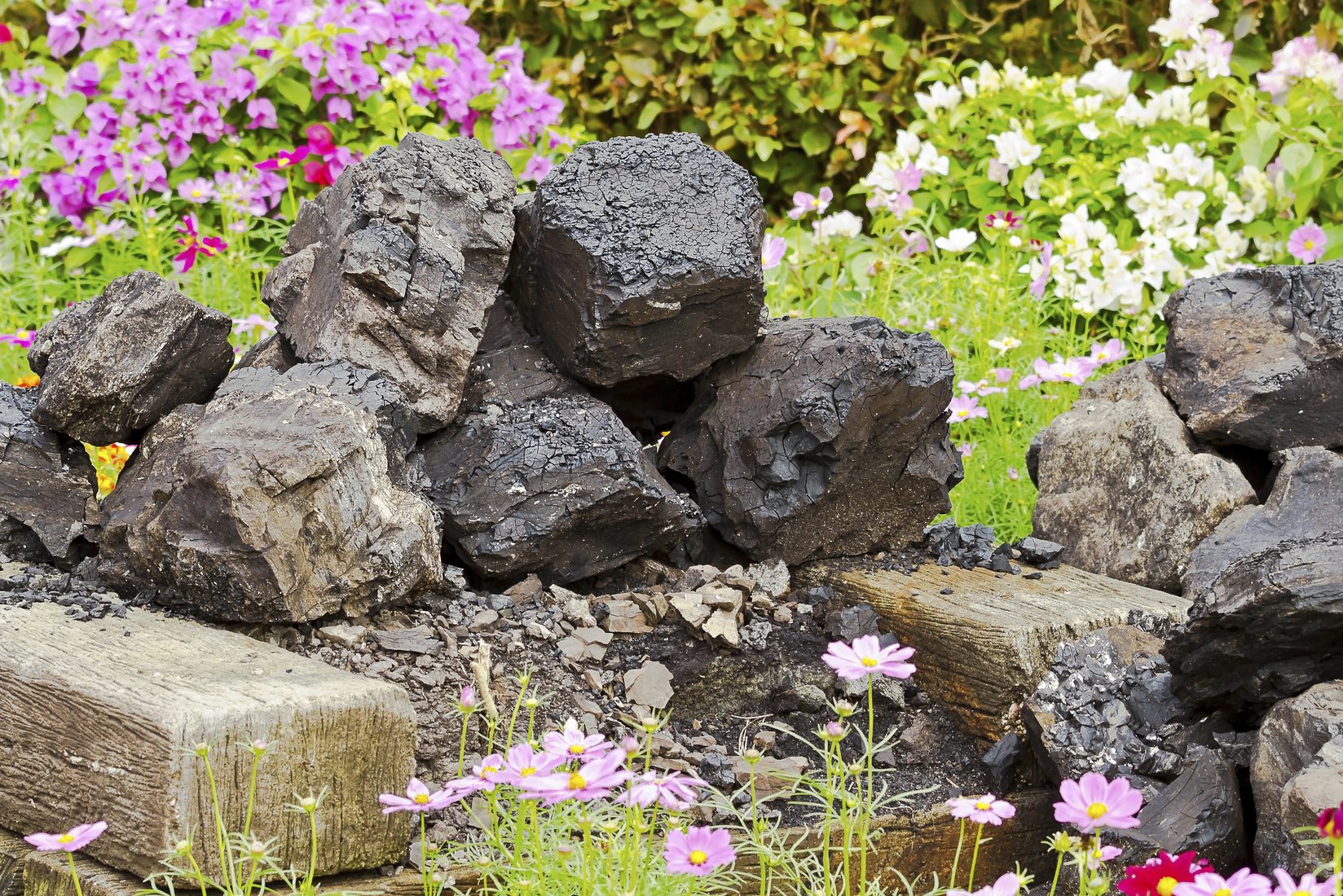 Flowers spring up around a pile of coal. (iStock Photo)