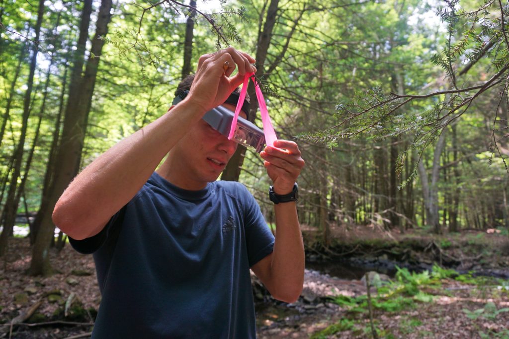 Nick Russo ’18 (CLAS) at his observation site in the UConn Forest. (Sydney Lauro/UConn Photo)