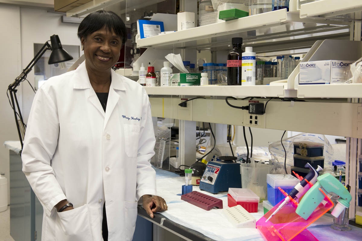 Dr. Marja Hurley in her laboratory at UConn Health. (Tina Encarnacion/UConn Health Photo)