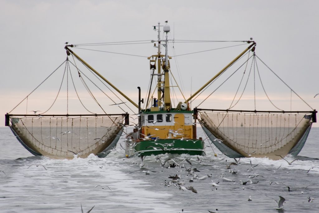 Fishing boat. (iStock Photo)