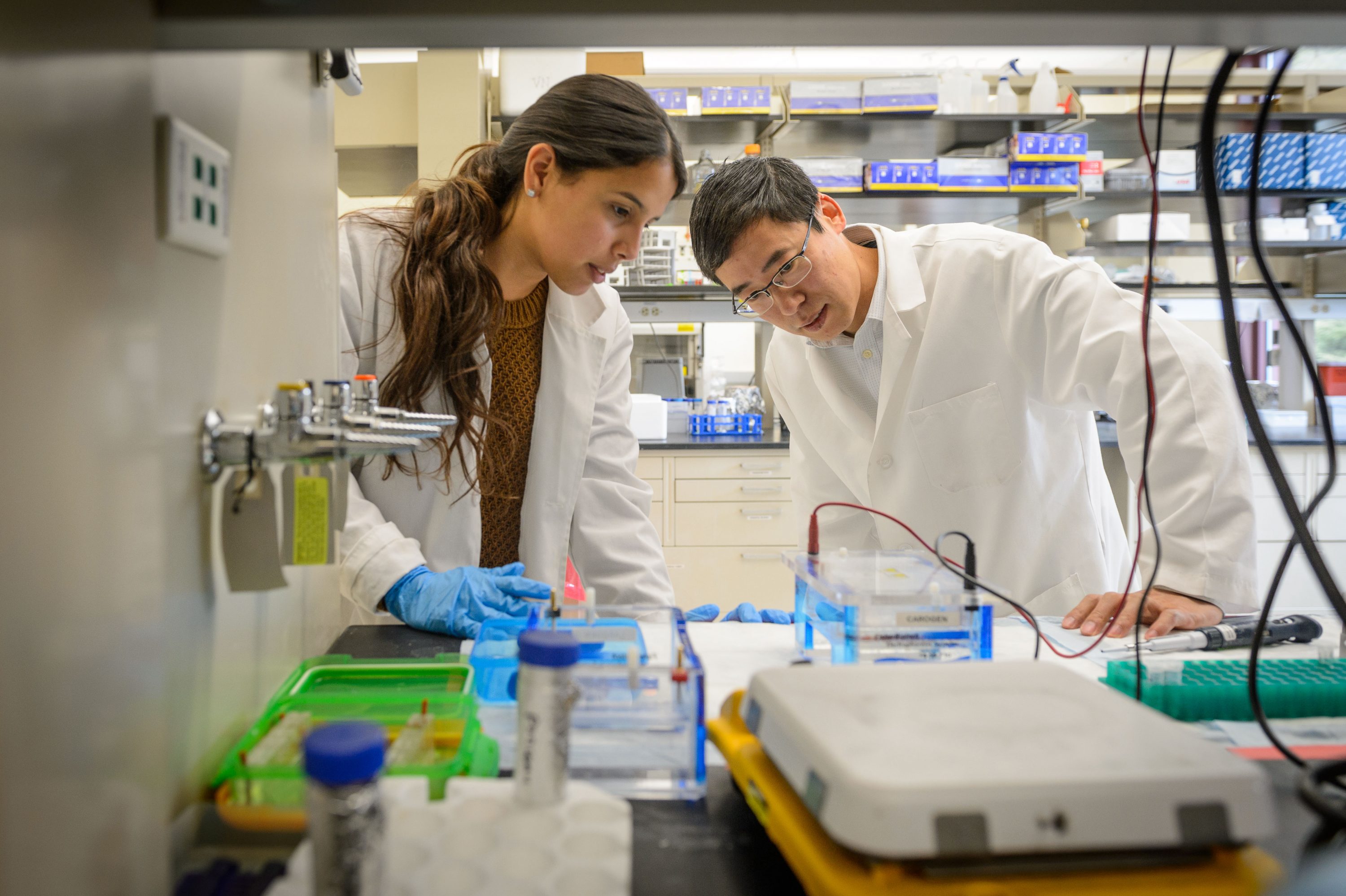Kepeng Wang, assistant professor of immunology, right, with Kasandra Rodriguez, a research associate at CaroGen Corp.'s technology incubation lab in Farmington on Dec. 12, 2016. (Peter Morenus/UConn Photo)