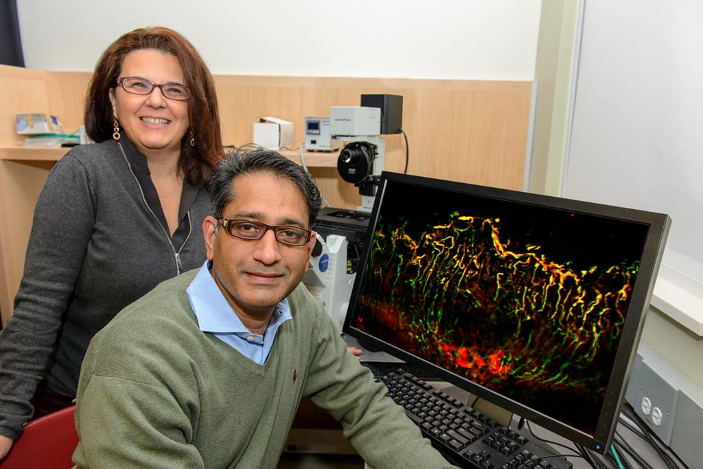 Royce Mohan (seated) and Paola Bargagna-Mohan are part of a team of UConn researchers developing an imaging technique that will signal problems in blood vessels near the eye that could lead to vision loss. (Janine Gelineau/UConn Health Photo)