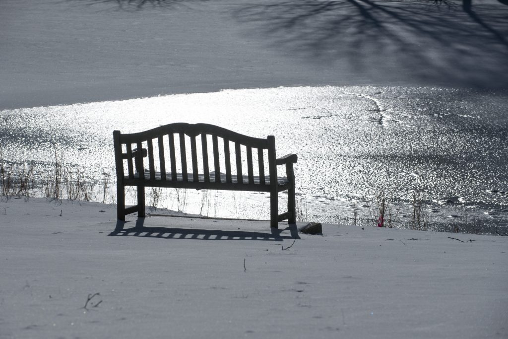 Sunshine after the snowfall adds sparkle and shadows to the landscape. (Sean Flynn/UConn Photo)