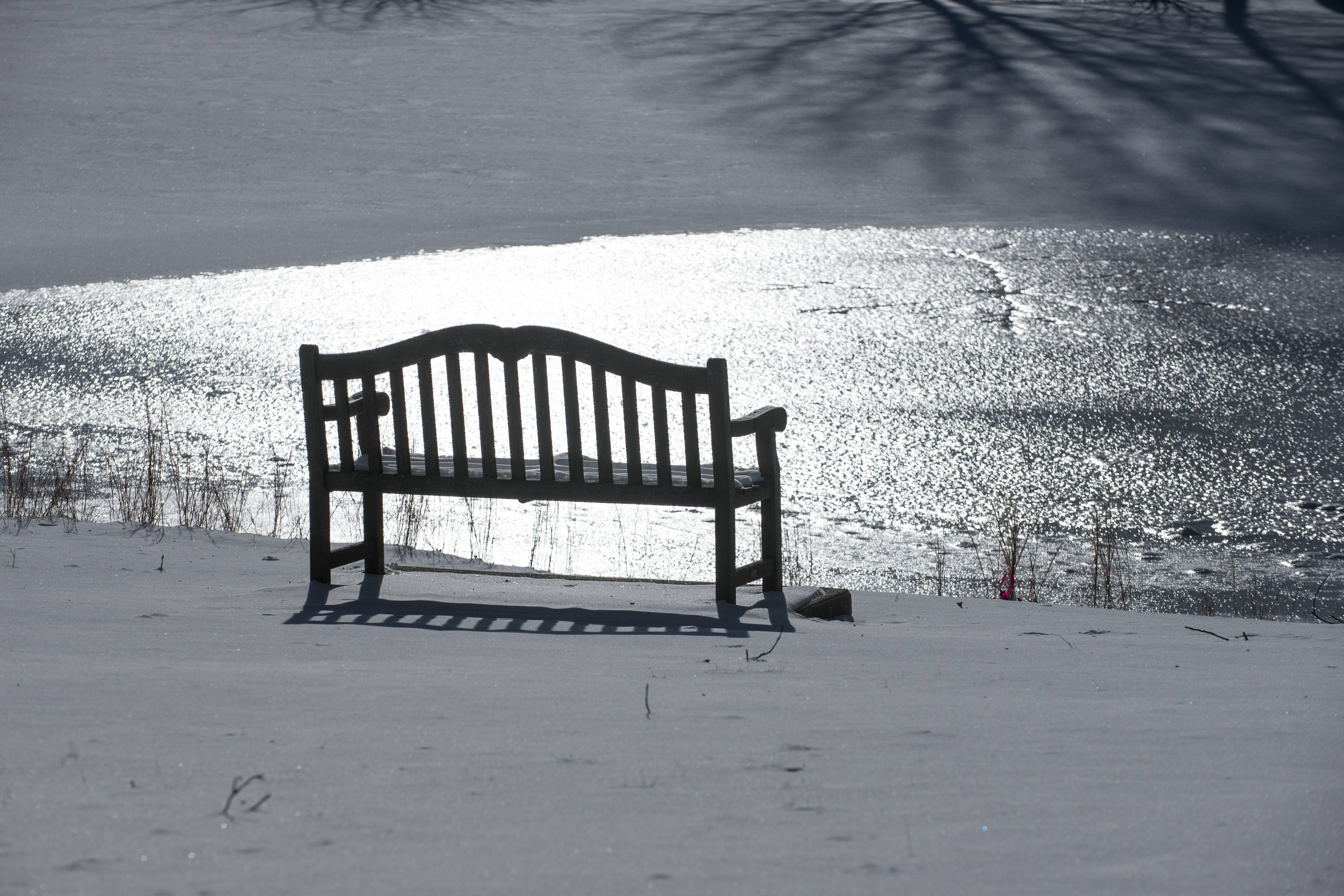 Sunshine after the snowfall adds sparkle and shadows to the landscape. (Sean Flynn/UConn Photo)