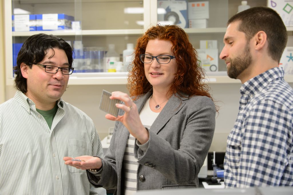 Rachel O'Neill, professor of molecular and cell biology with Craig Obergfell, a research assistant, (beard) and Nathaniel Jue, a postdoctoral fellow examine a plate used for sequencing on Dec. 20, 2012. (Peter Morenus/UConn Photo)