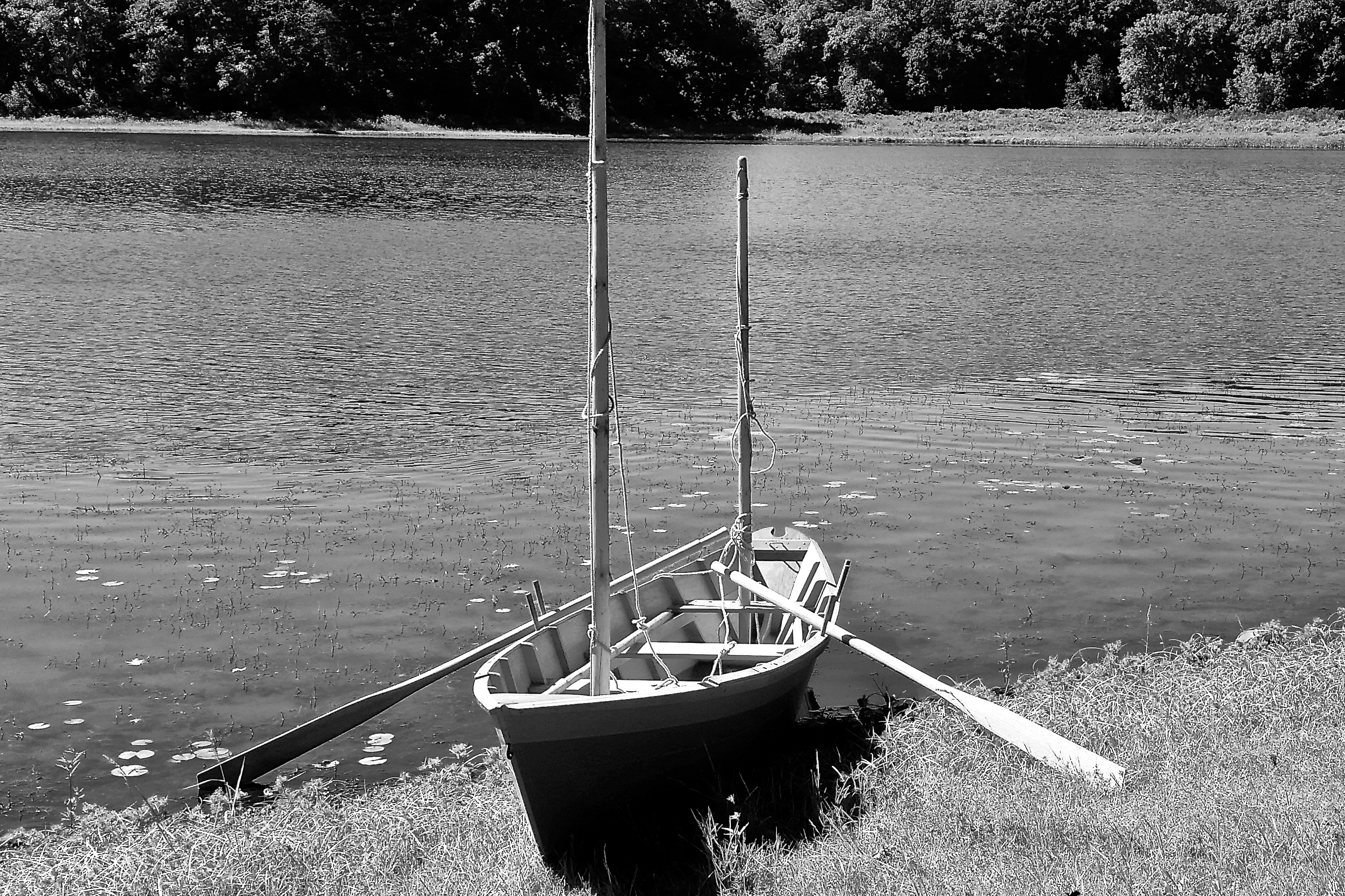 The photo shows a replica of Thoreau’s best-known boat, Musketaquid, named for the Algonquian word for 'grassy plain,' used to describe the area that became the town of Concord. (Photo by Juliet Wheeler)