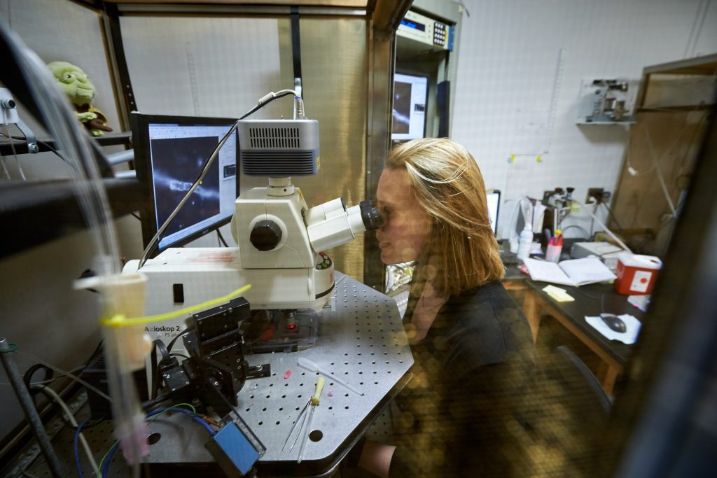 NIH postdoctoral fellow Virginia Hawkins looks though a microscope at the Pharmacy/Biology Building. (Peter Morenus/UConn Photo)