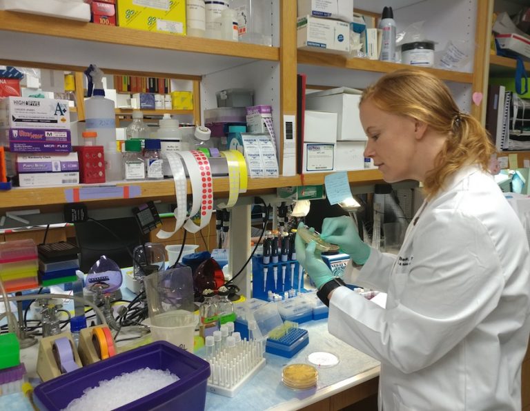 Genomics expert Christine Beck, Ph.D., is joining UConn Health and the Jackson Laboratory this summer (Photo: Lab of Christine Beck).