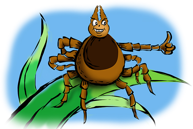 Ticks cannot fly or jump but they are particularly good at hitchhiking, using a behavior called 'questing.' (John Bailey/UConn Illustration)