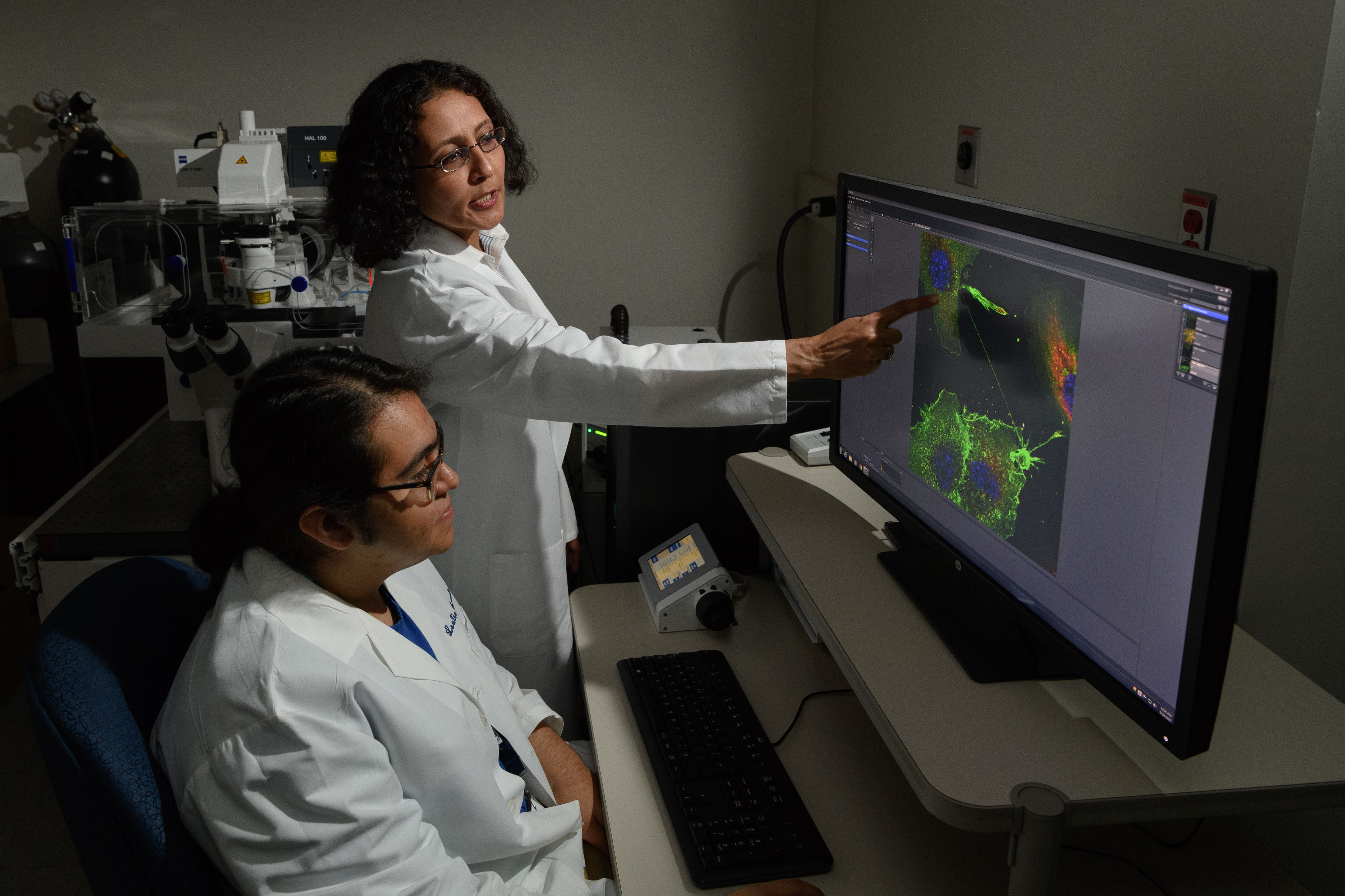 Brian Aguilera '19 (CLAS) and Mallika Ghosh, assistant professor of cell biology, with microscope images of tunneling nanotubes at UConn Health. (Peter Morenus/UConn Photo)