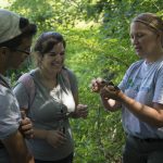 Tracy Rittenhouse, right, assistant professor of natural resources and the environment, teaches Adam LaMothe of Torrington High School and Julia Squillace of Watertown High School about amphibians in the UConn Forest, part of the field experience of NRCA's Conservation Ambassador Program. (NRCA Staff/UConn Photo)