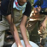 Naieem Kelly of Watkinson School in Hartford, holding a brown trout, learns how to survey and identify fish in the Fenton River. The activity was part of the NRCA's Conservation Ambassador Program. (NRCA Staff/UConn Photo)