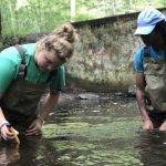 Caitlyn Murphy, left (East Catholic HS), and Naieem Kelly (Watkinson HS) study water quality in the Fenton River during a two-day workshop, part of the NRCA's Conservation Training Partnerships program. Their adult conservation partners are on shore recording data. (NRCA Staff/UConn Photo)